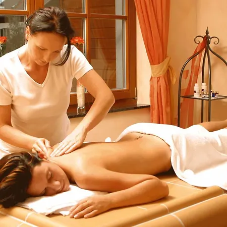 Sportpension Aichholzer شقة